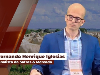 fernando site