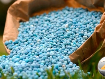 fertilizante