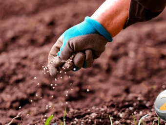 fertilizantes