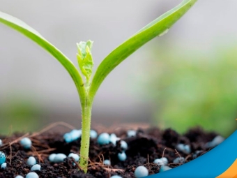 fertilizantes
