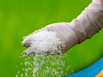 fertilizantes