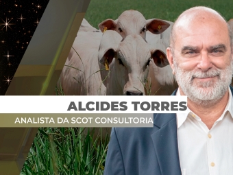 final - Alcides  -site