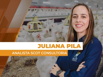 frango site