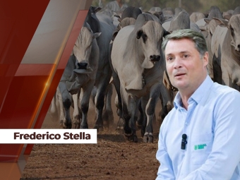 Frederico-Stella
