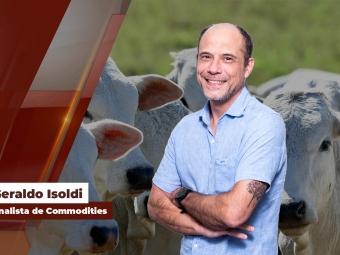 geraldo site