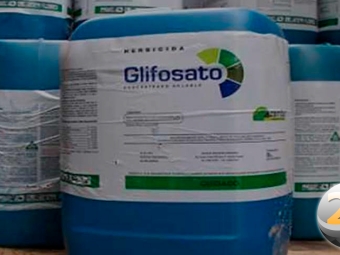 glifosato