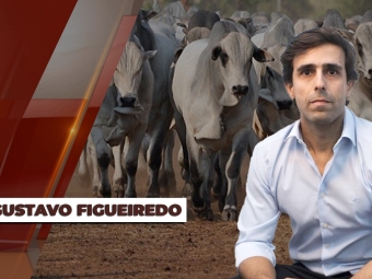 Gustavo-Figueiredo