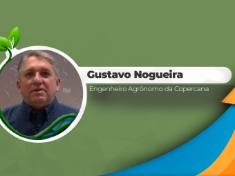 Gustavo-Nogueira