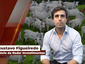 gustavo site
