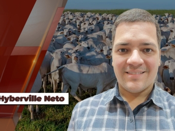 Hyberville-Neto
