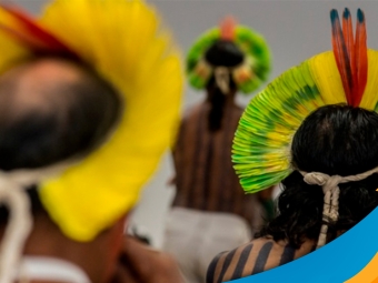 indigena