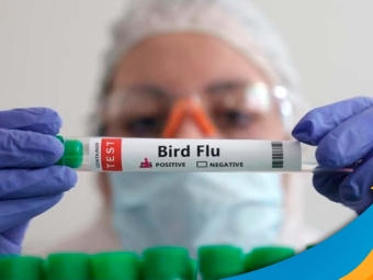 influenza aviaria