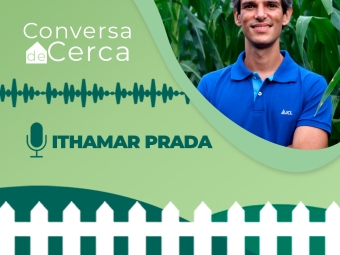 ITHAMAR-INSTA