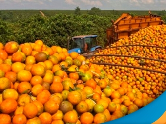 laranja