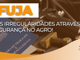 laranja-irregularidade