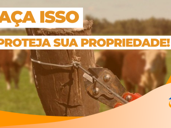 LARANJA_PSD