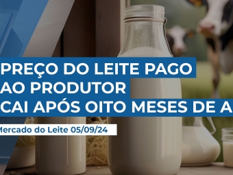 leite