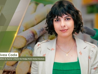 Lívea site