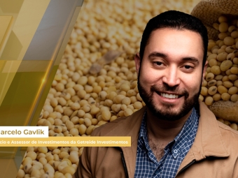 marcelo gavlik site