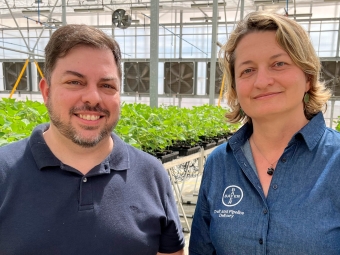 Marijke