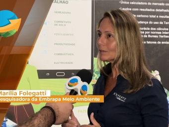 Marilia-Site