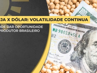 matheus-capa