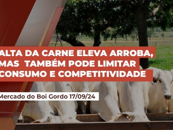 mercado-do-boi-gordo
