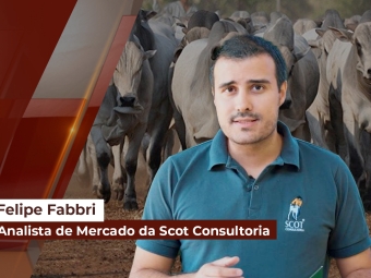 Mercado-do-Boi-Gordo-SITE