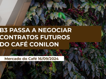mercado-do-café
