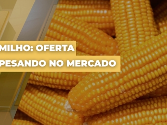 milho