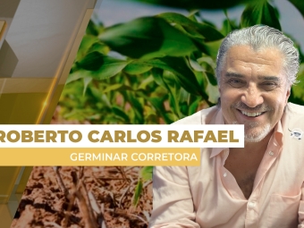 milho site