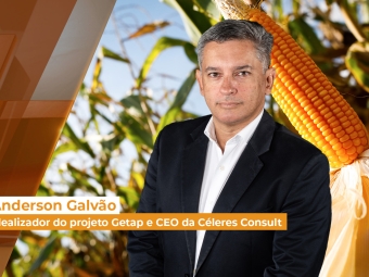milho site