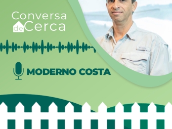 moderno-insta