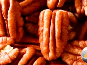 NOZ-PECAN