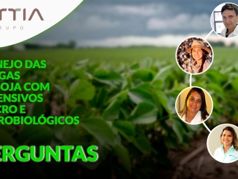 Perguntas