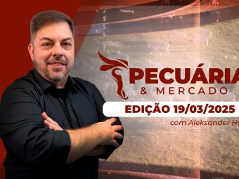 P&M - ÍNTEGRA