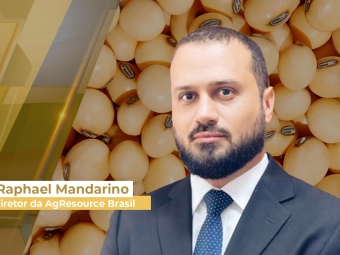 Raphael-Mandarino-SITE