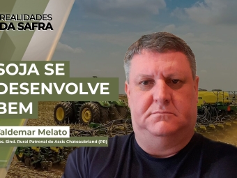 Realidades da Safra 18 yt