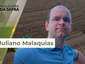 Realidades da Safra 29  site