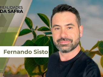 Realidades da Safra 5 site