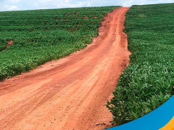 realidades da safra de soja dr camargo pr