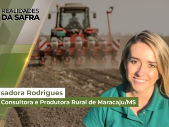 Realidades da Safra isadora site