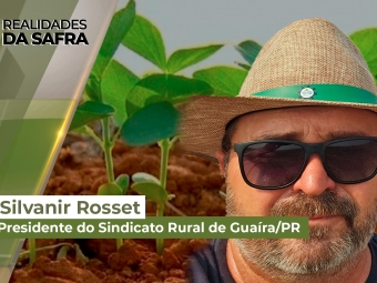 Realidades da Safra site