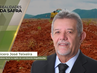 Realidades da Safra site