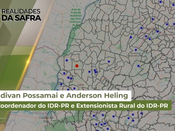 Realidades da Safra site