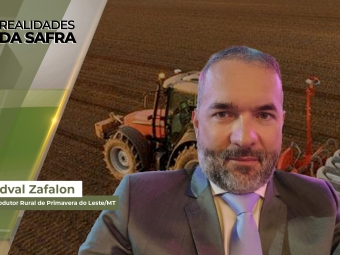 Realidades da Safra site