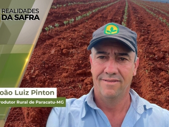 Realidades da Safra SITE