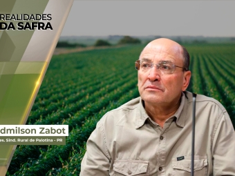 Realidades da Safra site