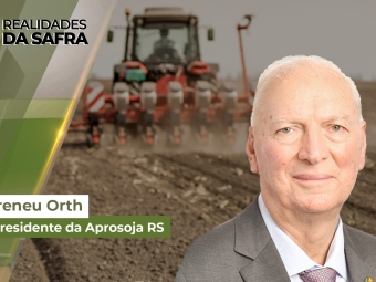 Realidades da Safra site