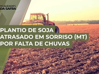 Realidades-da-Safra--soja-08